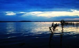 2 место в номинации "Пейзаж" - Вероника Деришева "Расплескалась синева"