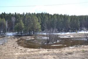 Река Черная