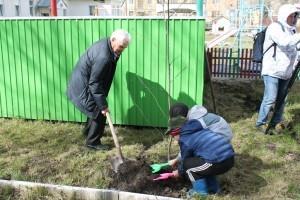 Дети помогали ветеранам садить детевья