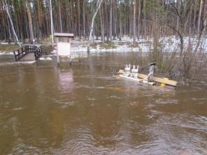 потоп в парке