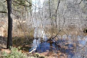 Река Черная. Вода там, где ее раньше не было