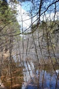 Река Черная. Вода там, где ее раньше не было