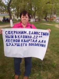 Митинг накануне отчета главы