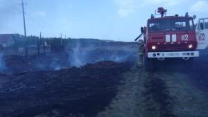 Травяные пожары, горит трава