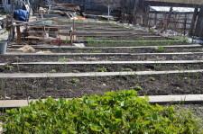 Занятие клуба Садовод