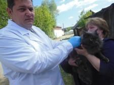 Ветеринары против бешенства