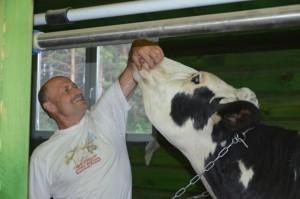 Молочная ферма Бондарева