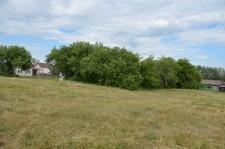 Почти гектар земли