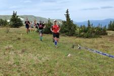 Забег "Здоровый, как лось"