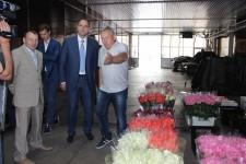 Паслер, Смаль, Герасименко