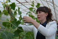 Усадьба Кувшинских