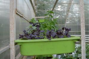 Усадьба Кувшинских