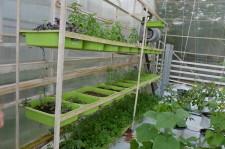 Усадьба Кувшинских