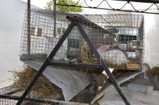 Усадьба Кувшинских