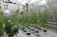 Усадьба Кувшинских