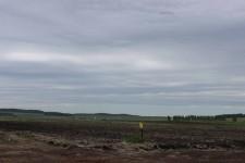 будущие теплицы