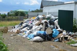 мусор в кашино