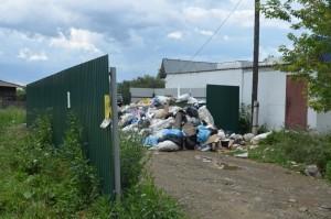 помойка в кашино