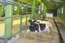 КФК Бондарева принимает гостей