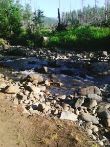 Горная речка Конжаковка