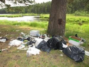 Мусор на берегу реки Черная