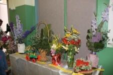 День села Абрамово 2016