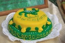 Сделано в лицее "Родник"