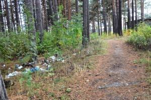 Мусор у тропинки вдоль гаражного кооператива