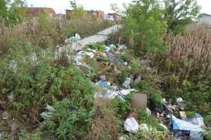 Тропинки в центр завалены мусором