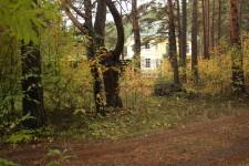 Сосновый бор, 3