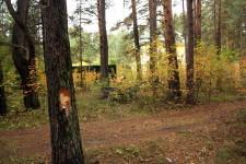 Сосновый бор, 3