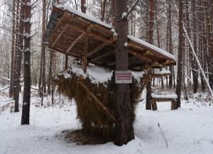 Подкормочная площадка