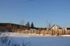 Коллективный сад