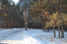 Дорога на кладбище