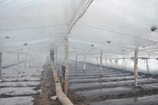 Китайские теплицы