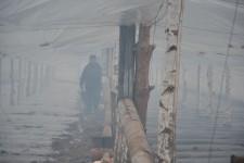 Китайские теплицы