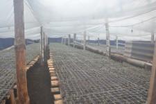 Китайские теплицы