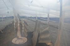 Китайские теплицы