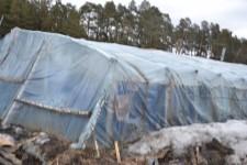 Китайские теплицы