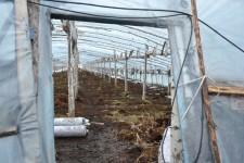 Китайские теплицы