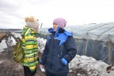 Китайские теплицы