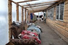 Китайские теплицы