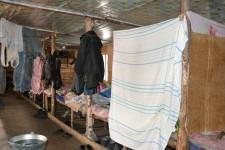 Китайские теплицы