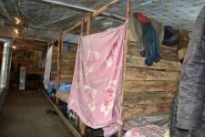 Китайские теплицы