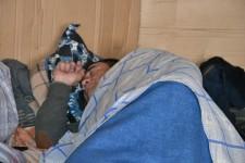 Китайские теплицы