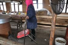 Китайские теплицы