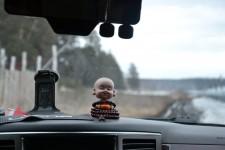 Китайские теплицы