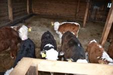 КФХ Целлер Т. П.