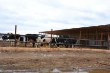 КФХ Целлер Т. П.