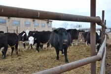 КФХ Целлер Т. П.